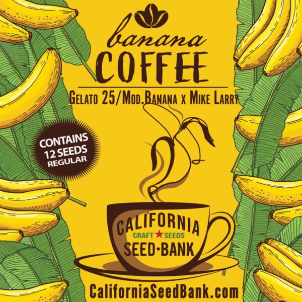 Banana Coffee - Image 2