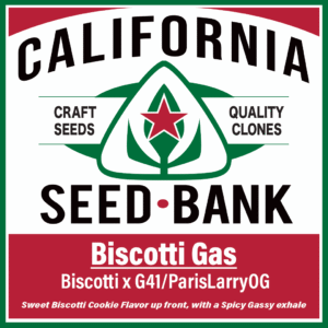 Biscotti Gas