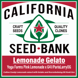 Lemonade Gelato