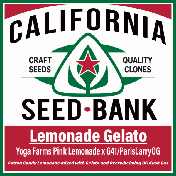 Lemonade Gelato by CSB