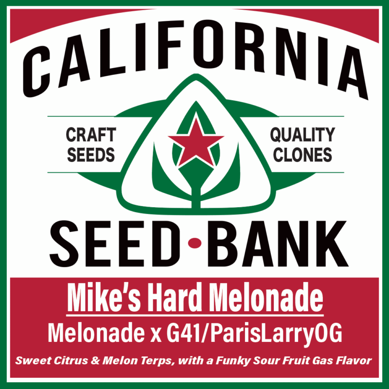 Mike’s Hard Melonade