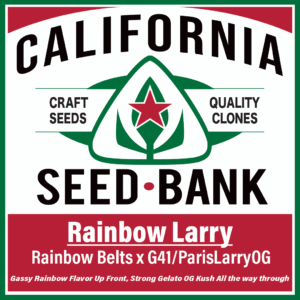 Rainbow Larry