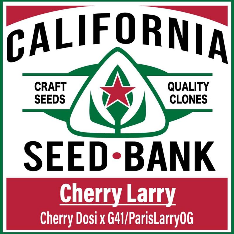 CherryLarry