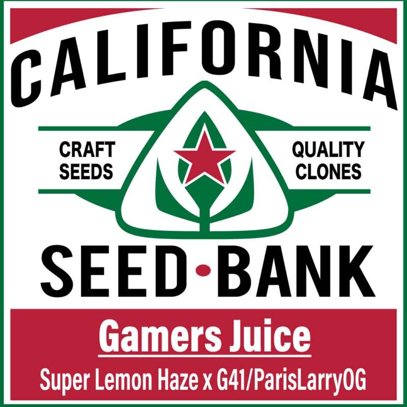 GamersJuice