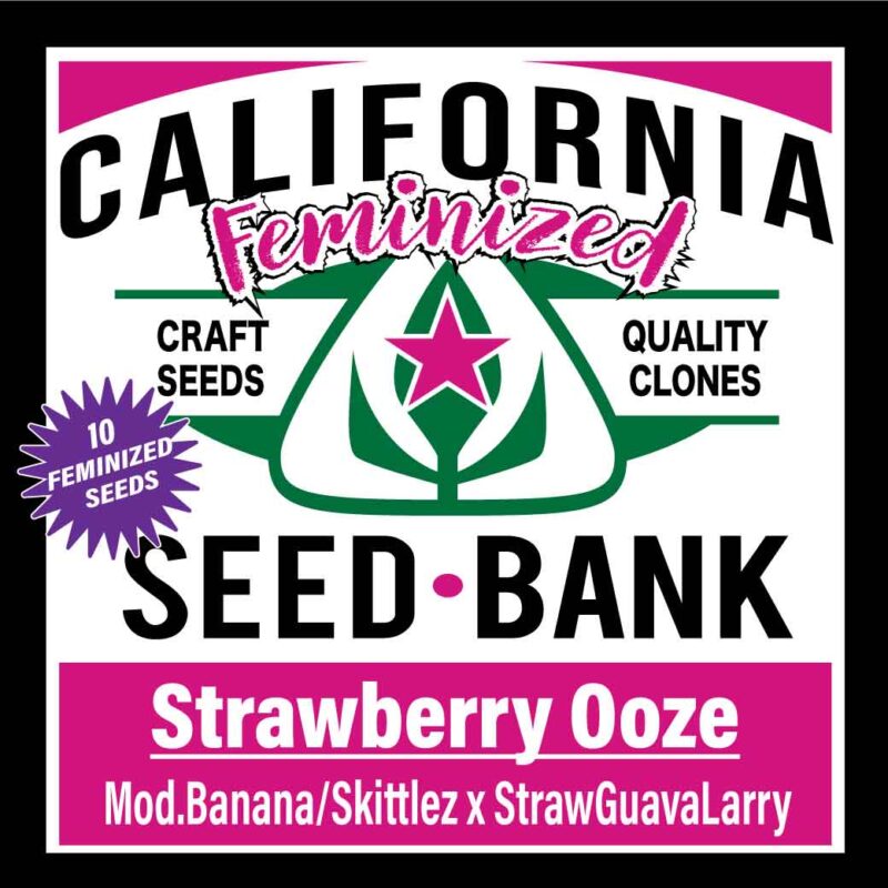 Strawberry OOZE