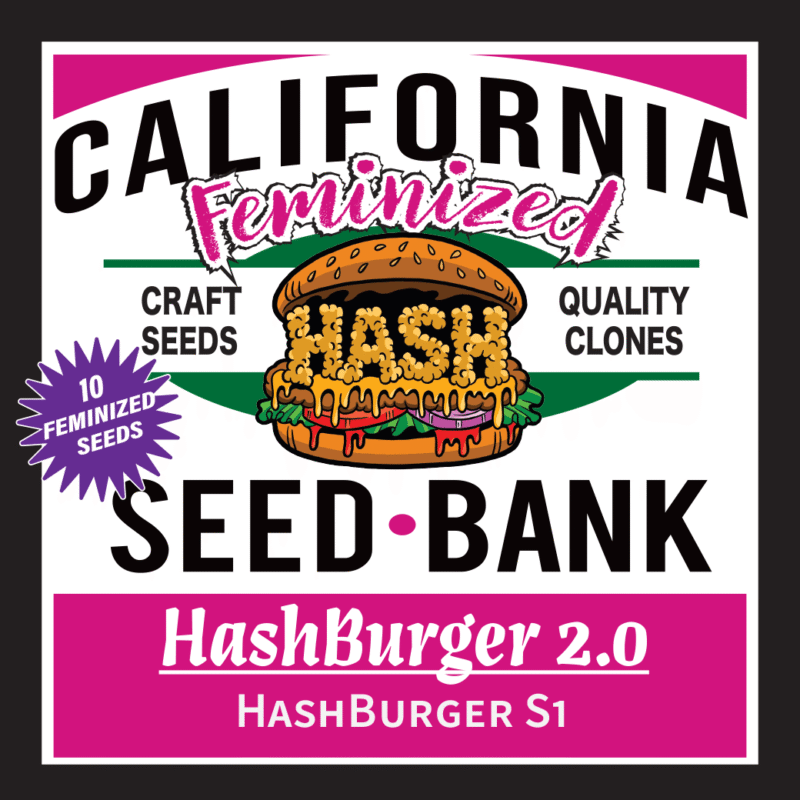 HashBurger 2.0