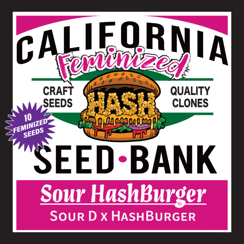 Sour HashBurger